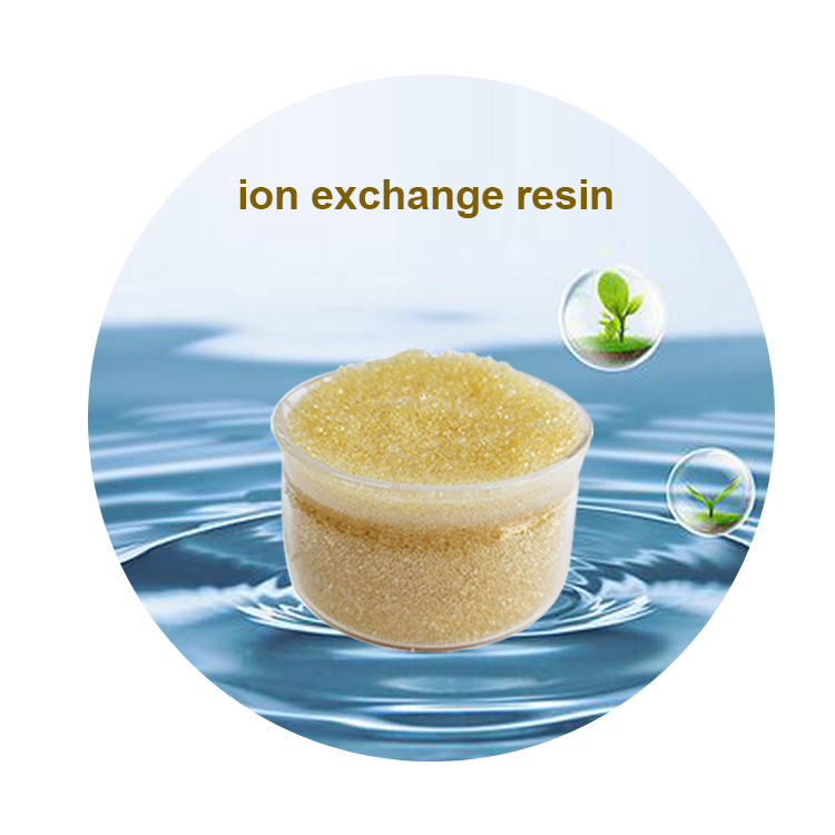 ion-exchange-resin